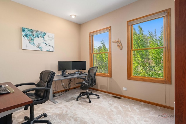 1701 Driftwood Ln, Crystal Lake, IL 60014 - office featuring carpet flooring and baseboards
