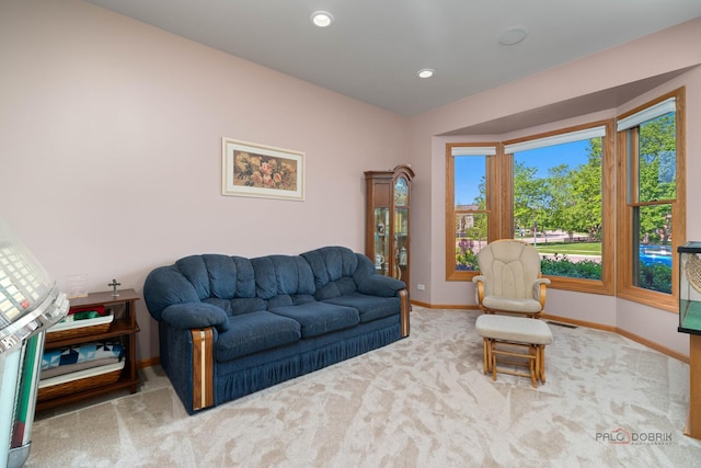 1701 Driftwood Ln, Crystal Lake, IL 60014 - carpeted living area with baseboards and recessed lighting