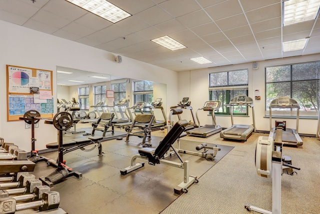 13460 S Magnolia Dr, Plainfield, IL 60544 - workout area with healthy amount of natural light and a paneled ceiling