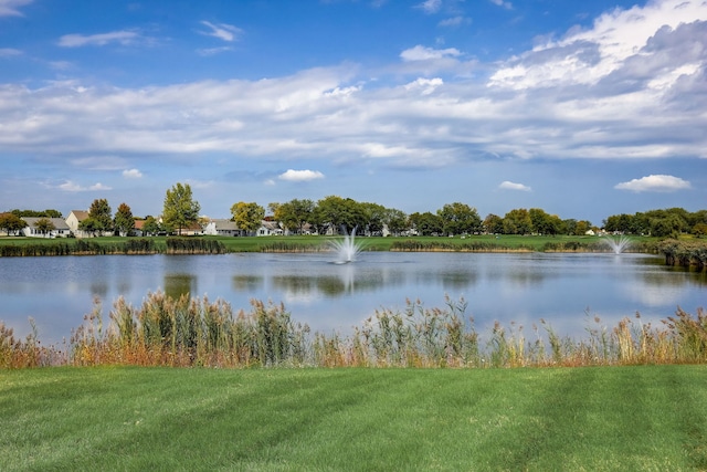 13460 S Magnolia Dr, Plainfield, IL 60544 - water view