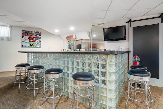 4308 Miller Oaks Dr, Mchenry, IL 60051 - indoor dry bar with a paneled ceiling, carpet, and baseboards