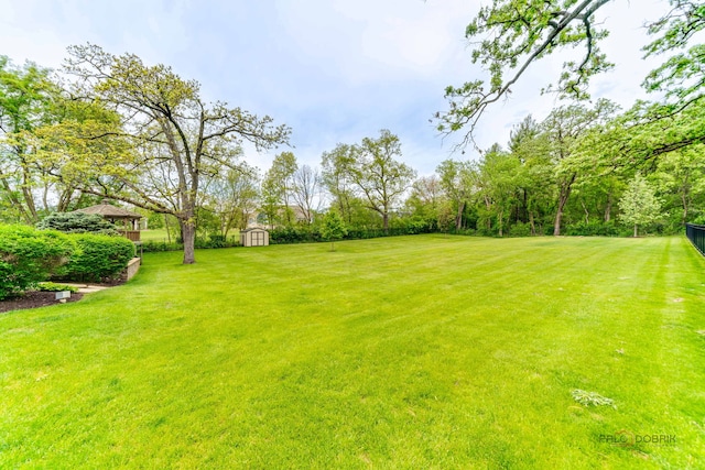 4308 Miller Oaks Dr, Mchenry, IL 60051 - view of green lawn