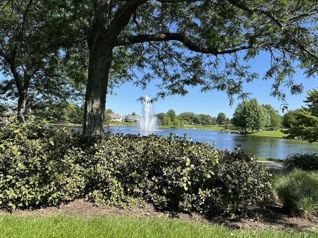 13370 Red Alder Ave, Huntley, IL 60142 - water view