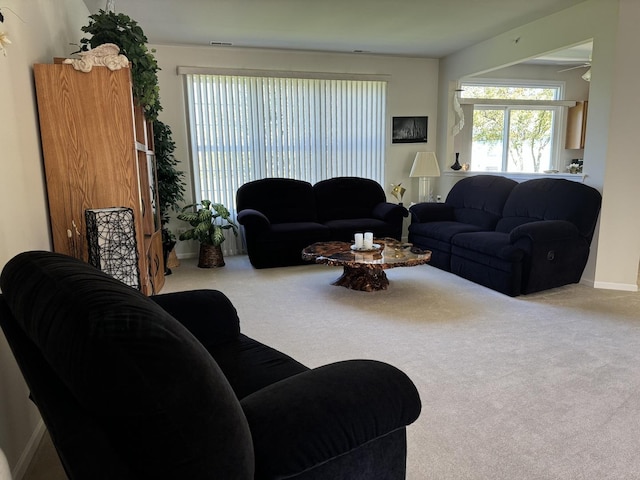13370 Red Alder Ave, Huntley, IL 60142 - living area featuring carpet floors, healthy amount of natural light, and baseboards