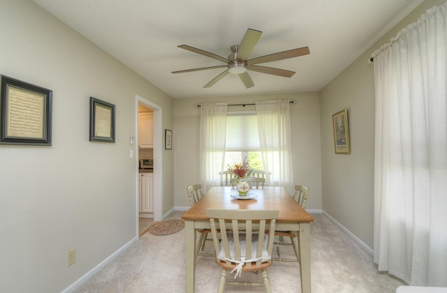 1701 Radnor Ct, Geneva, IL 60134 - photo 15