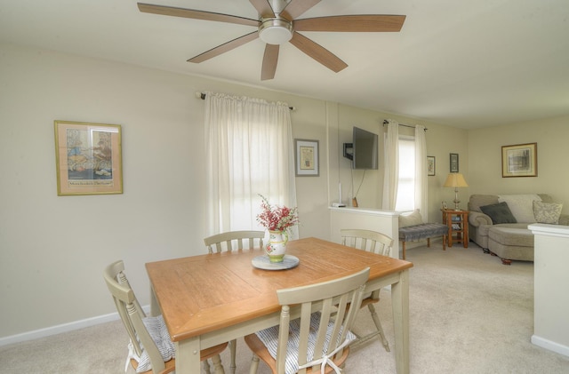 1701 Radnor Ct, Geneva, IL 60134 - photo 16
