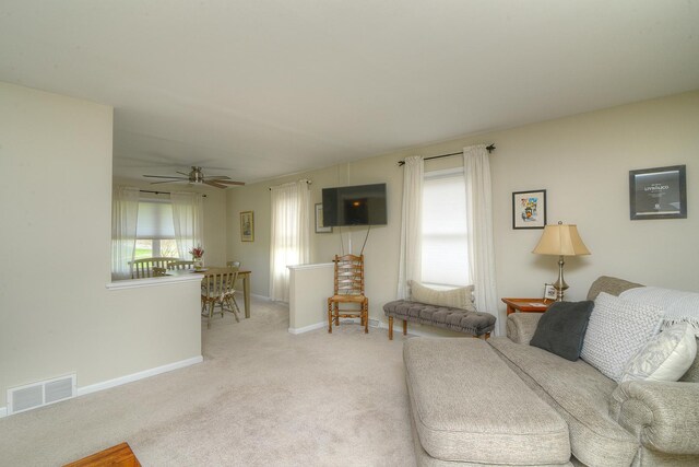 1701 Radnor Ct, Geneva, IL 60134 - photo 19