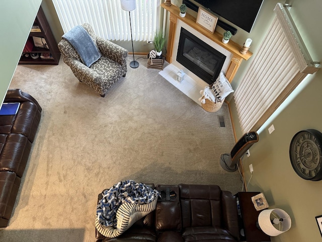 18233 Eagle Dr, Tinley Park, IL 60477 - carpeted living area featuring a glass covered fireplace