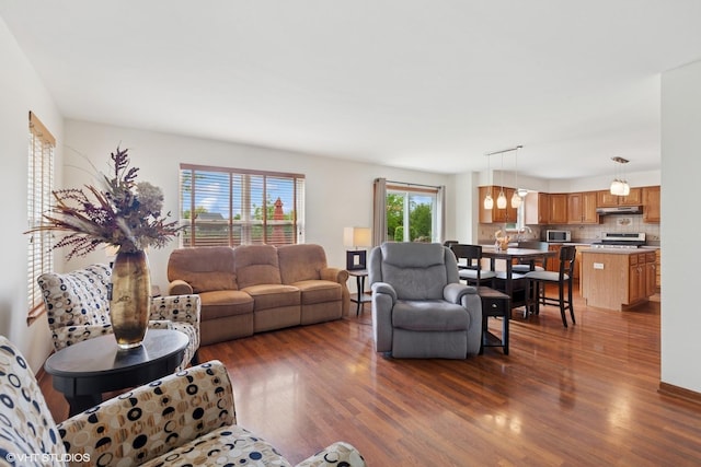 1847 Lake Shore Dr, Romeoville, IL 60446 - living area with dark wood finished floors