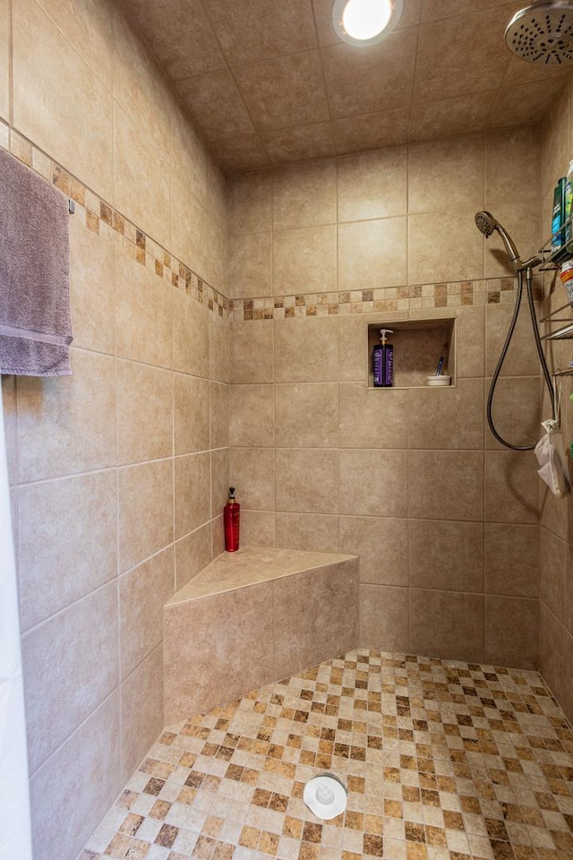 21 Carribean Dr, Putnam, IL 61560 - bathroom featuring tiled shower