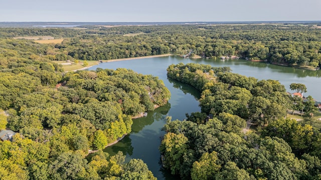 21 Carribean Dr, Putnam, IL 61560 - aerial view of property and surrounding area featuring a heavily wooded area and a large body of water