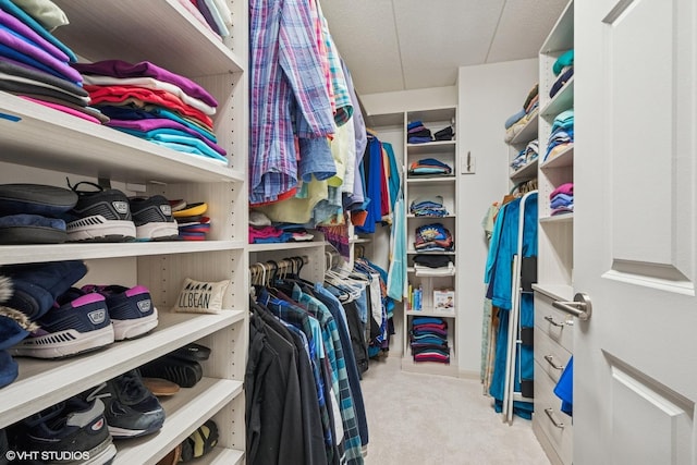 6807 N Milwaukee Ave Unit 204, Niles, IL 60714 - walk in closet with carpet floors