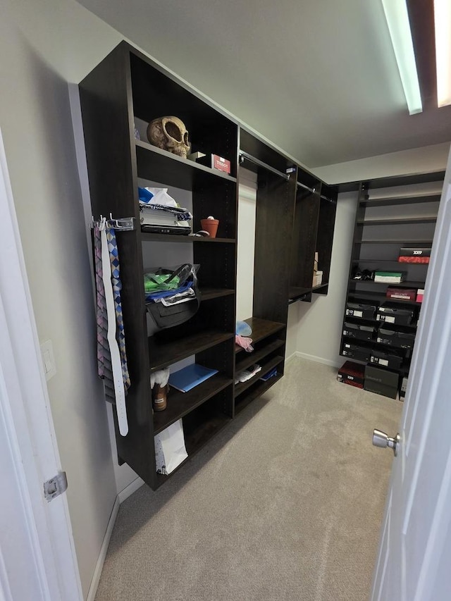 7943 Dada Dr, Gurnee, IL 60031 - spacious closet with carpet