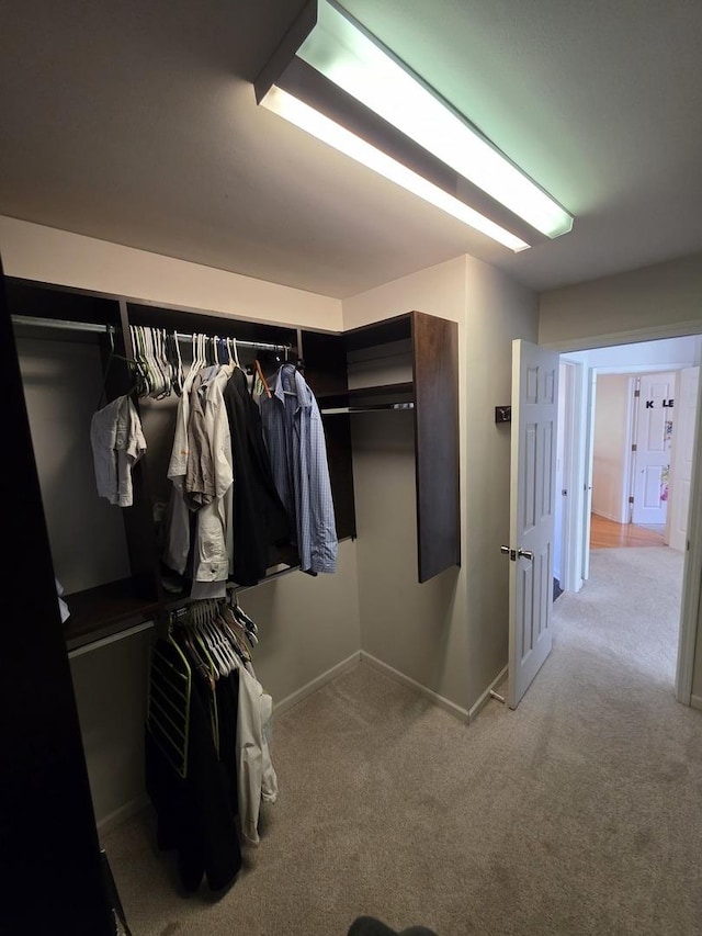 7943 Dada Dr, Gurnee, IL 60031 - walk in closet featuring light colored carpet