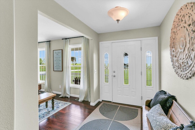 1228 N County Road 530 Rd E, Tuscola, IL 61953 - entrance foyer featuring wood finished floors and baseboards