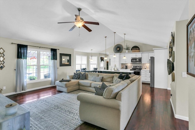 1228 N County Road 530 Rd E, Tuscola, IL 61953 - living area with ceiling fan, lofted ceiling, and dark wood-style floors