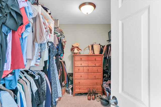 1228 N County Road 530 Rd E, Tuscola, IL 61953 - walk in closet featuring carpet