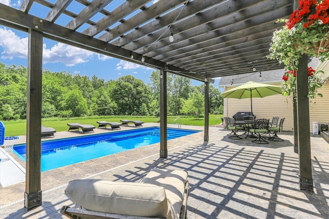 1228 N County Road 530 Rd E, Tuscola, IL 61953 - swimming pool with a pergola, a lawn, a patio area, and outdoor dining space