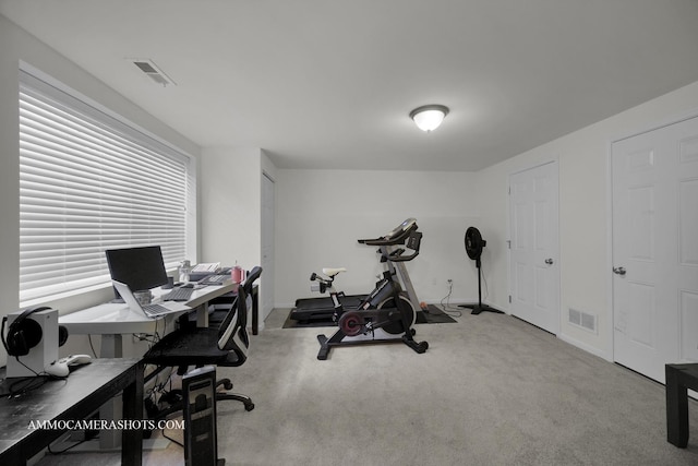 863 Lewisburg Ln, Aurora, IL 60504 - office area featuring carpet flooring and baseboards