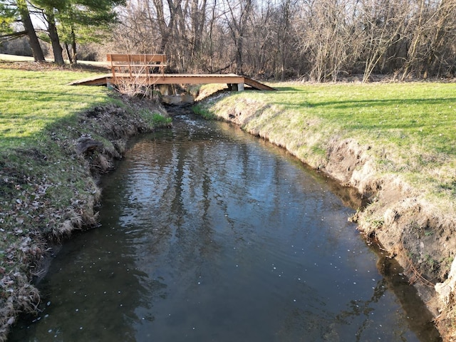 water view with a forest