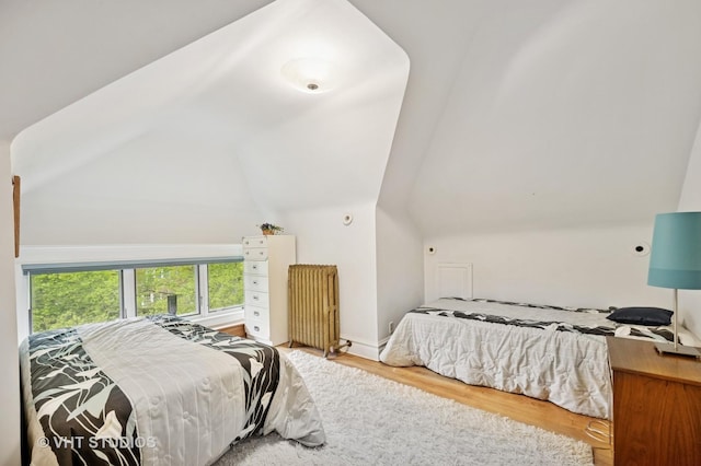 1431 Noyes St, Evanston, IL 60201 - bedroom featuring wood finished floors, lofted ceiling, and radiator