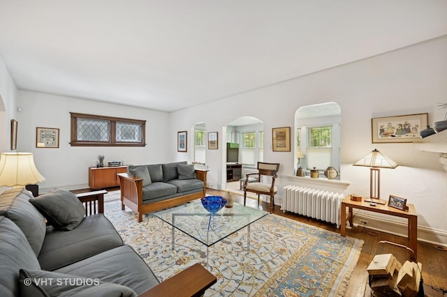 1431 Noyes St, Evanston, IL 60201 - living room with radiator heating unit, arched walkways, wood finished floors, and baseboards