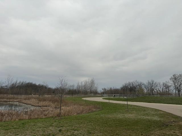 8506 Redbud Ct, Wonder Lake, IL 60097 - view of grassy yard