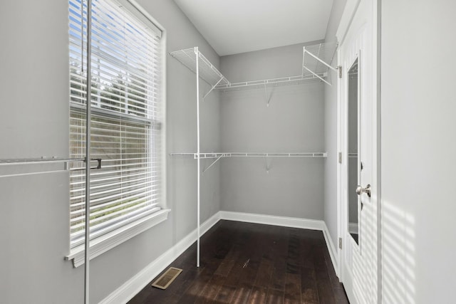 49 W Crabapple Ave, Cortland, IL 60112 - spacious closet featuring wood finished floors