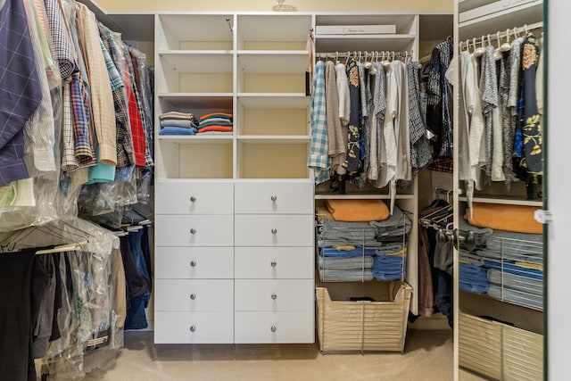 4804 Westborough Dr, Champaign, IL 61822 - view of walk in closet