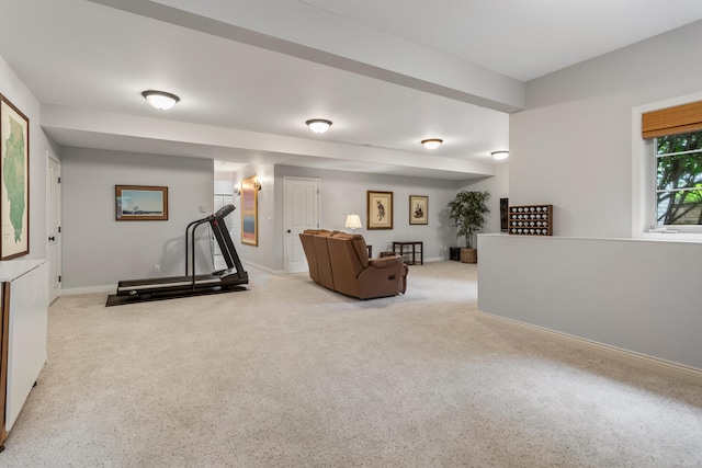 4804 Westborough Dr, Champaign, IL 61822 - workout room featuring carpet and baseboards