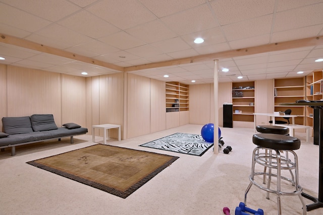 24316 W Bristol Ave, Plainfield, IL 60585 - exercise area featuring carpet, built in features, and recessed lighting
