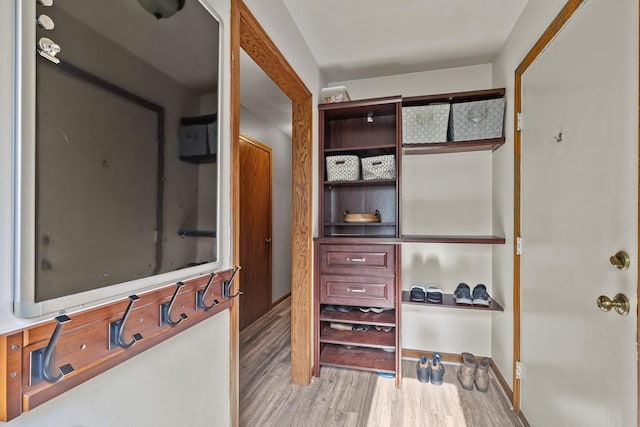 525 W Jackson St, Woodstock, IL 60098 - spacious closet with light wood-style floors