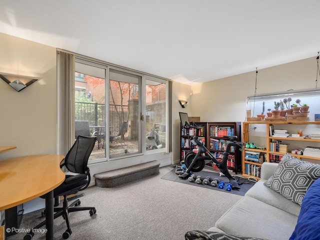 office area featuring plenty of natural light and carpet flooring