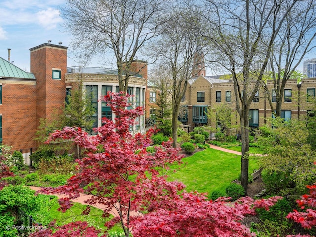 view of grassy yard