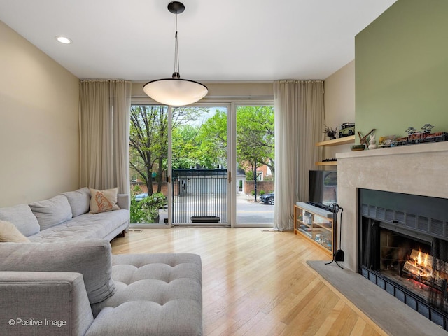 living room featuring a fireplace with flush hearth and wood finished floors