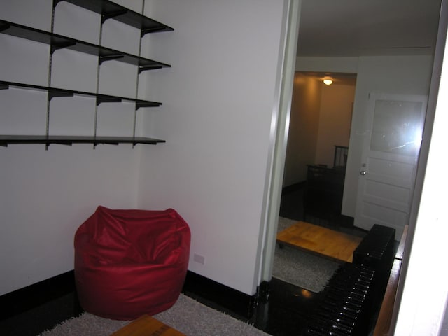 11333 S Langley Ave, Chicago, IL 60628 - view of storage