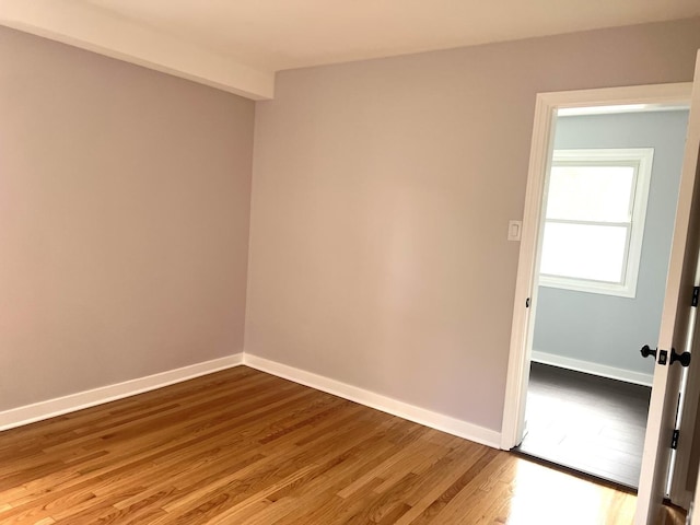9109 Lamon Ave Unit 2N, Skokie, IL 60077 - unfurnished room featuring wood finished floors and baseboards