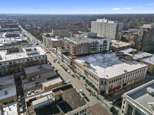 213 N Marion St Unit 2D, Oak Park, IL 60302 - view of urban area