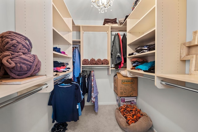 210 Station Park Cir, Grayslake, IL 60030 - spacious closet featuring carpet floors