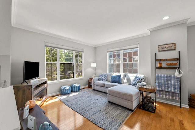 210 Station Park Cir, Grayslake, IL 60030 - living area featuring crown molding, hardwood / wood-style flooring, baseboards, and recessed lighting
