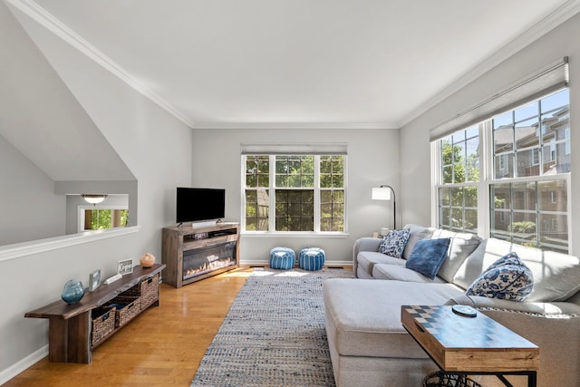 210 Station Park Cir, Grayslake, IL 60030 - living room with wood finished floors, crown molding, and baseboards