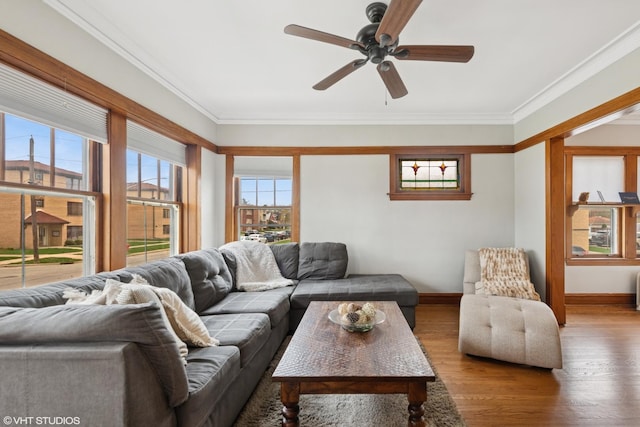 living area with baseboards, ornamental molding, wood finished floors, and ceiling fan