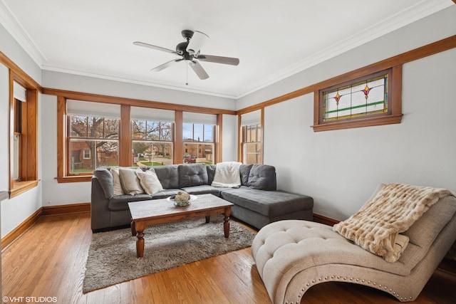 living area with baseboards, crown molding, wood-type flooring, and ceiling fan