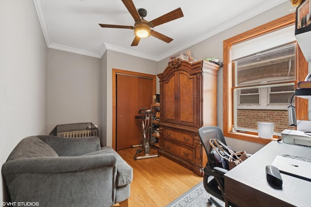 office area featuring light wood-type flooring, ceiling fan, and ornamental molding