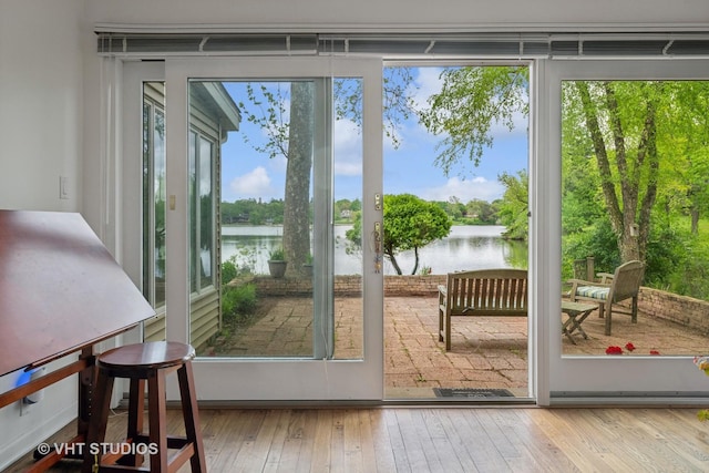 145 W Lake Shore Dr, Tower Lakes, IL 60010 - doorway with a water view and hardwood / wood-style flooring