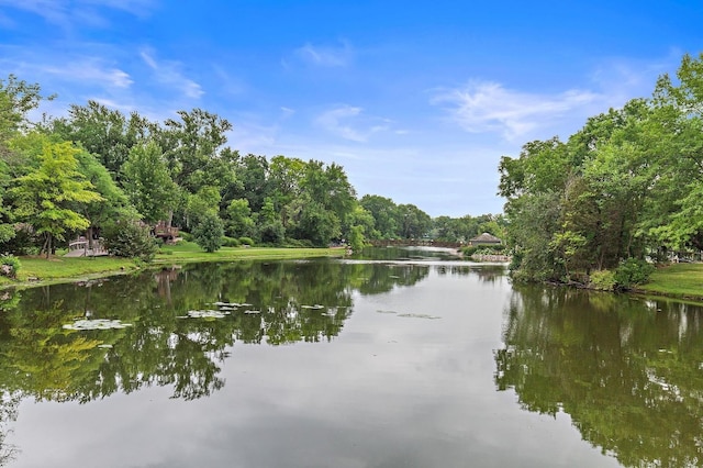 145 W Lake Shore Dr, Tower Lakes, IL 60010 - water view