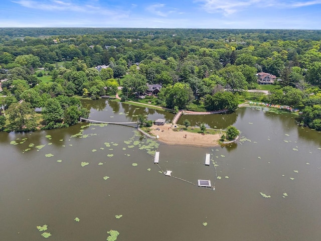 145 W Lake Shore Dr, Tower Lakes, IL 60010 - drone / aerial view of a nearby body of water and a forest