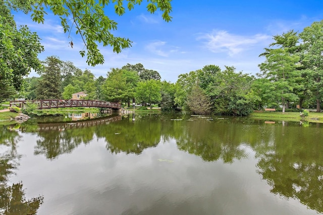 145 W Lake Shore Dr, Tower Lakes, IL 60010 - water view