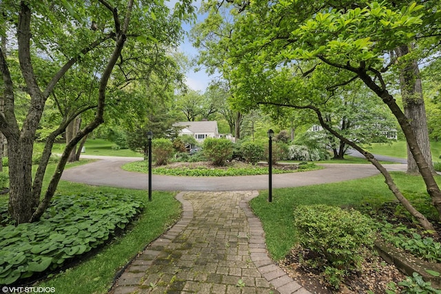 145 W Lake Shore Dr, Tower Lakes, IL 60010 - view of home's community