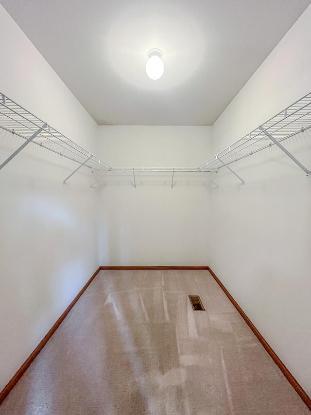 spacious closet with carpet
